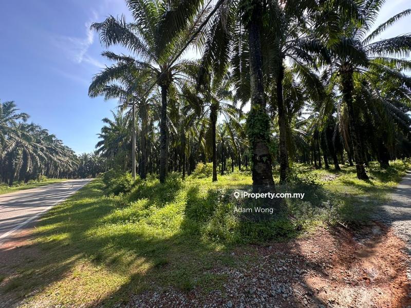 Tanah Pertanian untuk Dijual di Kolej Matrikulasi Kedah, Gurun oleh Adam Wong - iProperty.com.my