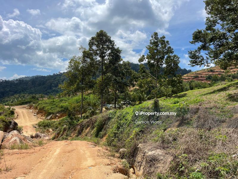 Agricultural Land for Sale in Karak, Bentong by Damon Wong - iProperty.com.my