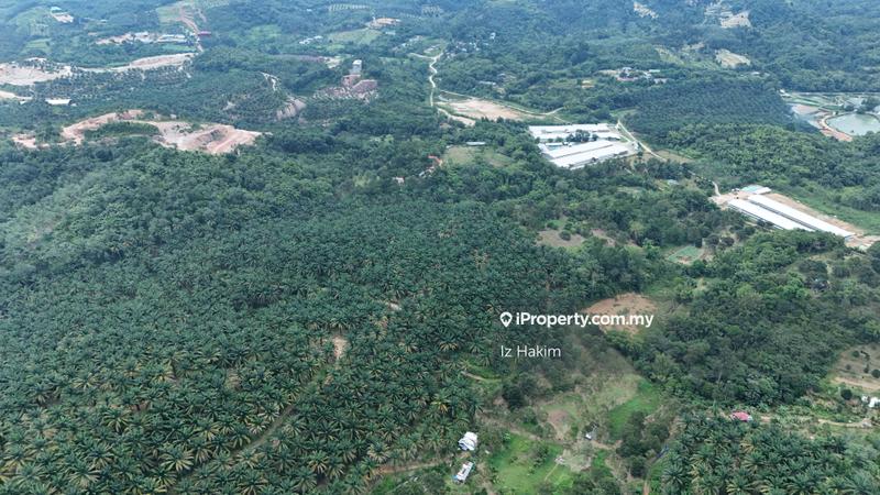 Agricultural Land for Sale in Kuala Kubu Baru, Selangor by Iz Hakim - iProperty.com.my