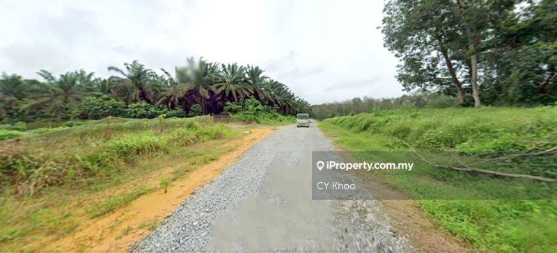 Agricultural Land for Sale in Kempas, Johor Bahru by CY Khoo - iProperty.com.my