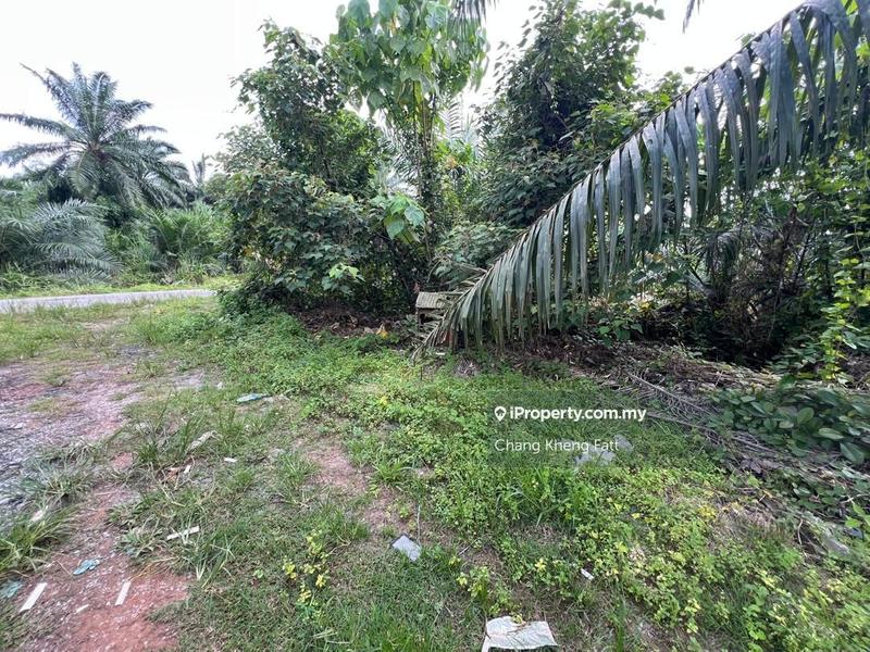 Agricultural Land for Sale in Kampung Teluk Mengkuang, Telok Panglima Garang by Chang Kheng Fatt - iProperty.com.my