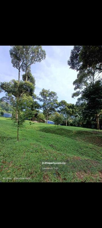 For Sale - Broga Durian Farm sale