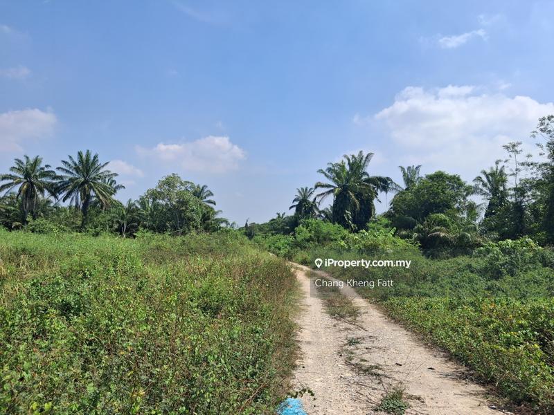 Agricultural Land for Sale in Kampung Sijangkang, Telok Panglima Garang by Chang Kheng Fatt - iProperty.com.my