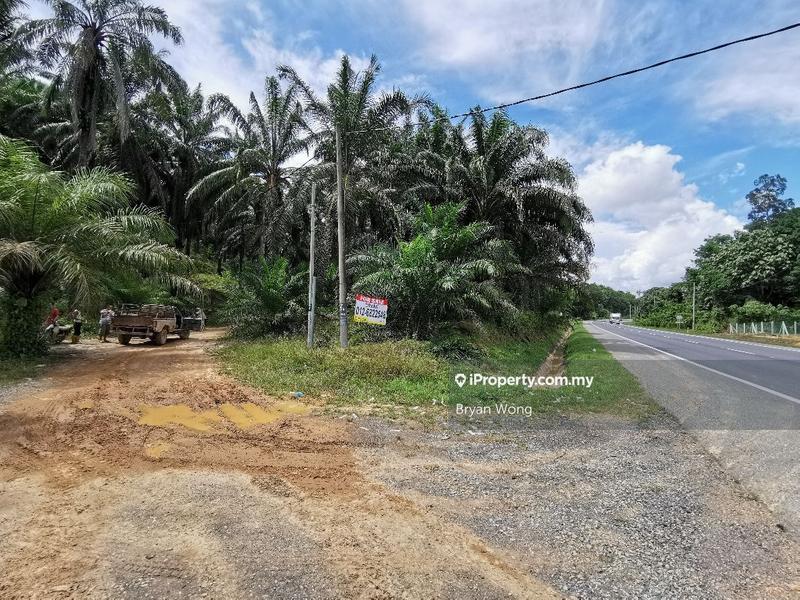 Agricultural Land for Sale in Penjom, Kuala Lipis, Pahang, Kuala Lipis by Bryan Wong - iProperty.com.my