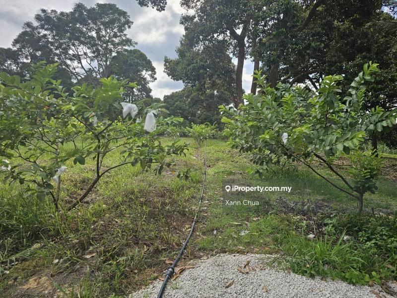 Agricultural Land for Sale in Taman Bemban Baru, Bemban by Xann Chua - iProperty.com.my