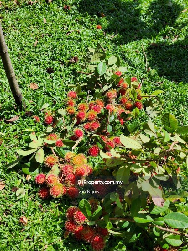 Bungalow House for Sale in Jalan Cecawi 6, Kota Damansara, Petaling Jaya, Kota Damansara by Ivan Ngow - iProperty.com.my