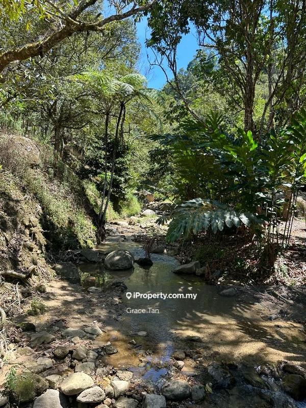 Tanah Pertanian untuk Dijual di Bentong Sang Lee ,Raub, Raub oleh Grace Tan - iProperty.com.my