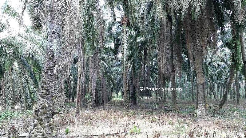 Residential Land for Sale in Batang Berjuntai, Kuala Selangor by Vincent Tee - iProperty.com.my