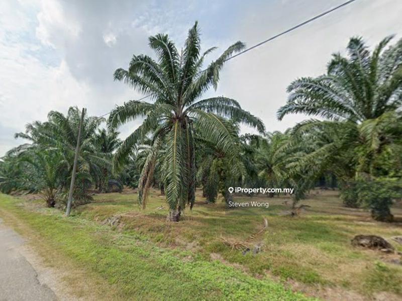 Agricultural Land for Sale in Kampung Sijangkang, Telok Panglima Garang by Steven Wong - iProperty.com.my