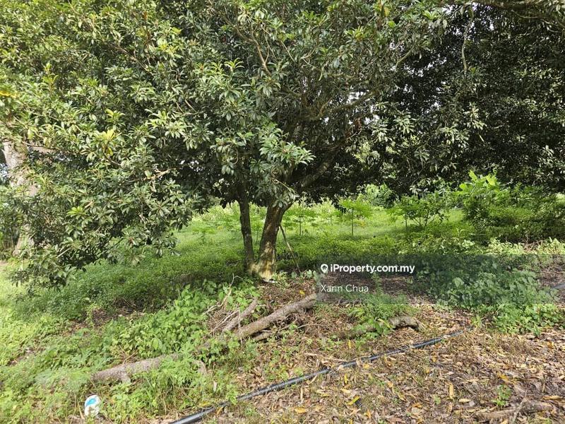 Agricultural Land for Sale in Taman Bemban Baru, Bemban by Xann Chua - iProperty.com.my