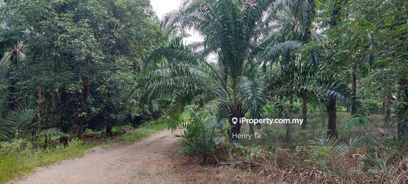 Tanah Pertanian untuk Dijual di Taman Dengkil, Dengkil oleh Henry Ta - iProperty.com.my