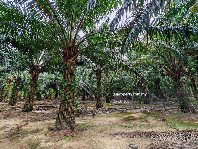 Tanah Pertanian untuk Dijual di Taman Rembau Utama, Rembau oleh Candy Soon - iProperty.com.my