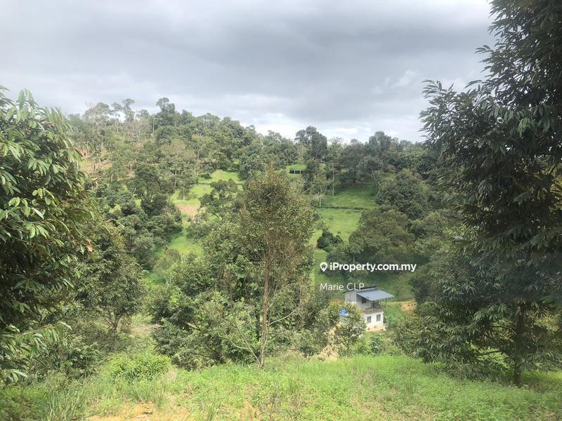 Tanah Pertanian untuk Dijual di Bentong, Pahang oleh Marie CLP - iProperty.com.my