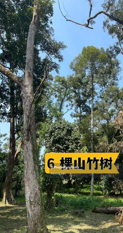Tanah Pertanian untuk Dijual di Teluk Kerang, Pontian oleh Alexius Lim - iProperty.com.my