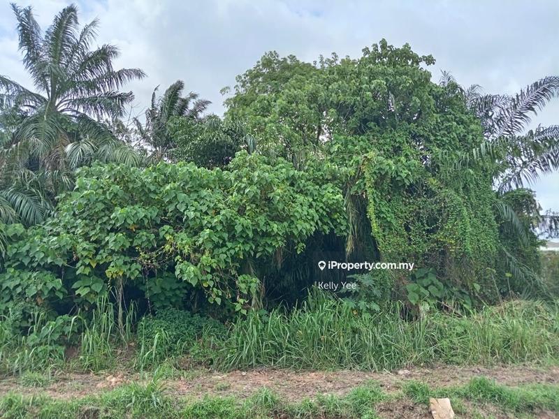 For Sale - First Grade Residential Land @ Alma for Sale