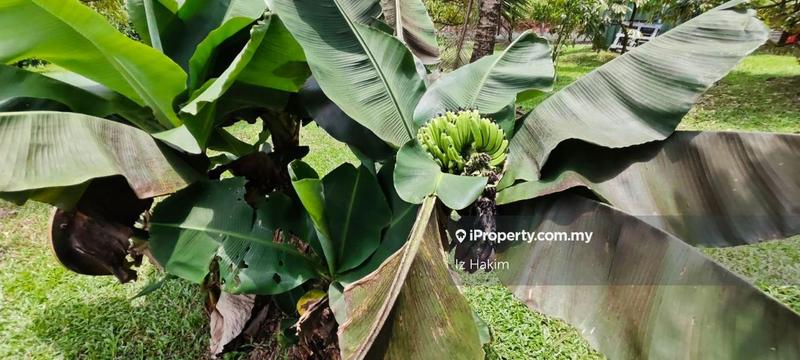 Agricultural Land for Sale in Batang Kali, Selangor by Iz Hakim - iProperty.com.my