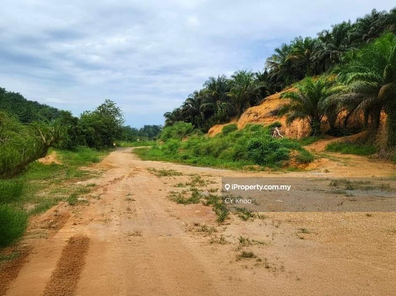 Tanah Pertanian untuk Dijual di Kelantan Gua Musang Limau Kasturi Sungai Galas, Limau Kasturi oleh CY Khoo - iProperty.com.my