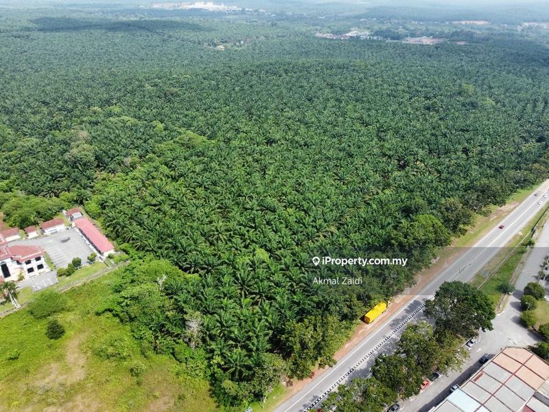 Agricultural Land for Sale in Melaka City, Melaka by Akmal Zaidi - iProperty.com.my