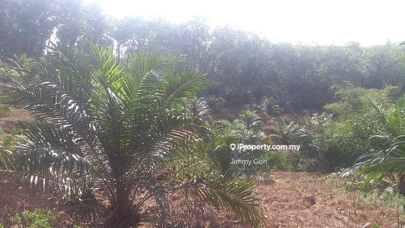 Tanah Pertanian untuk Dijual di Kerling, Kerling oleh Jimmy Goh - iProperty.com.my