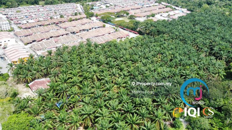 Tanah Pertanian untuk Dijual di Batu 11, Jalan Kuantan - Gambang, Kuantan oleh Markin Fong - iProperty.com.my
