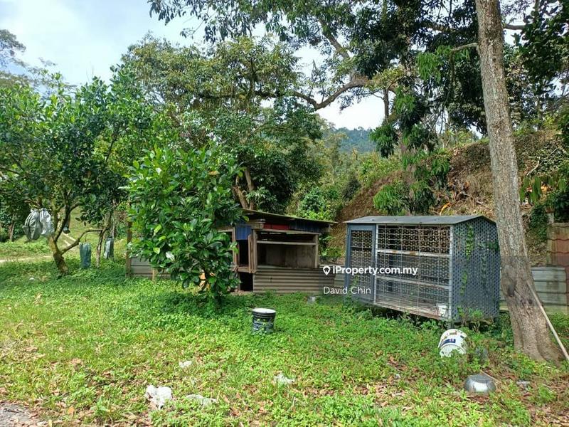 For Sale - Mantin ( Besides Main Road )