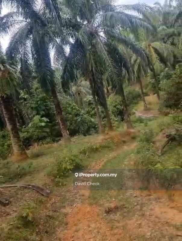 Agricultural Land for Sale in Bandar Springhill, Port Dickson by David Cheok - iProperty.com.my
