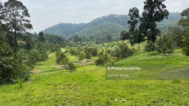 Agricultural Land for Sale in Karak, Karak by Damon Wong - iProperty.com.my