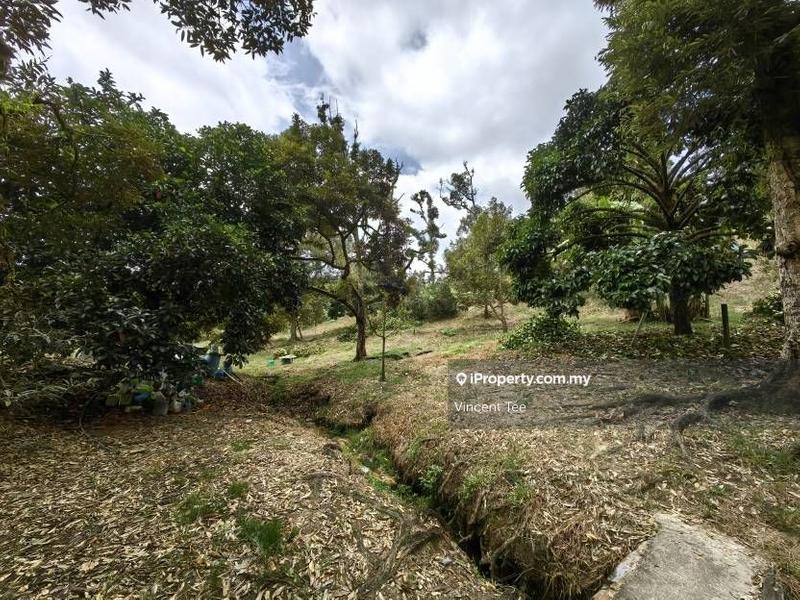 Tanah Pertanian untuk Dijual di Cheroh, Raub oleh Vincent Tee - iProperty.com.my