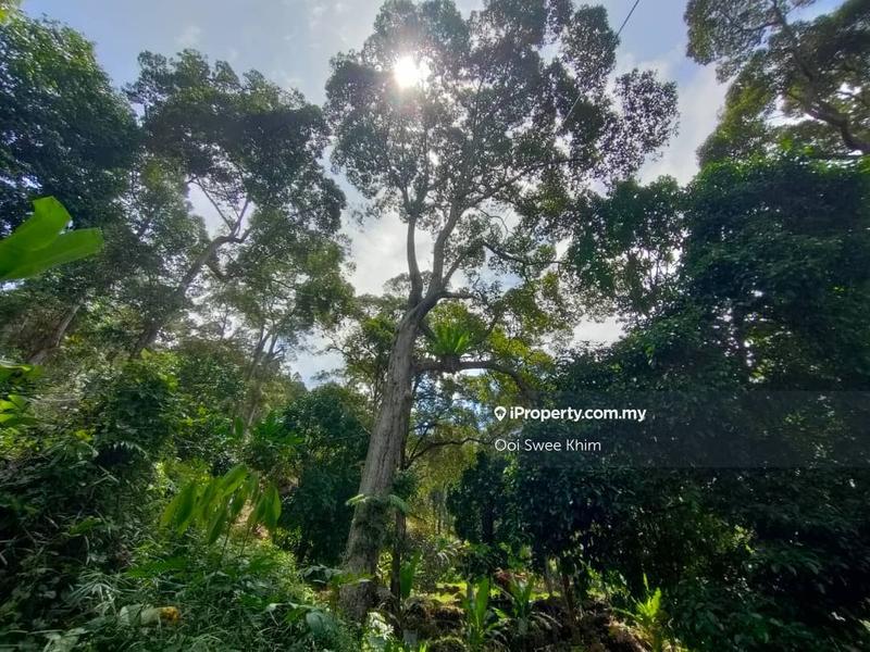 Tanah Pertanian untuk Dijual di Teluk Kumbar, Penang oleh Ooi Swee Khim - iProperty.com.my