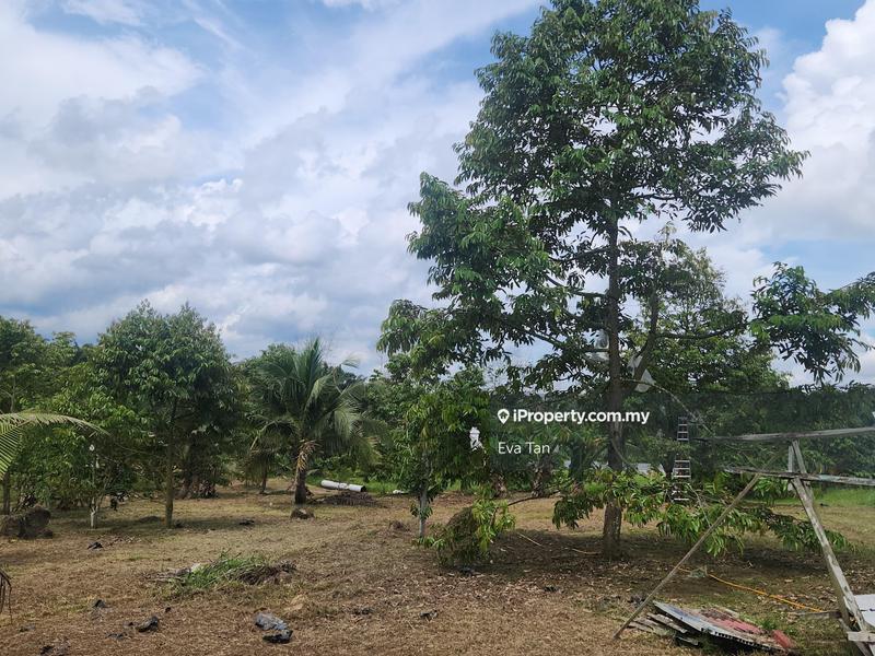 For Sale - Simpang Renggam Zoning Industrial Agriculture Land
