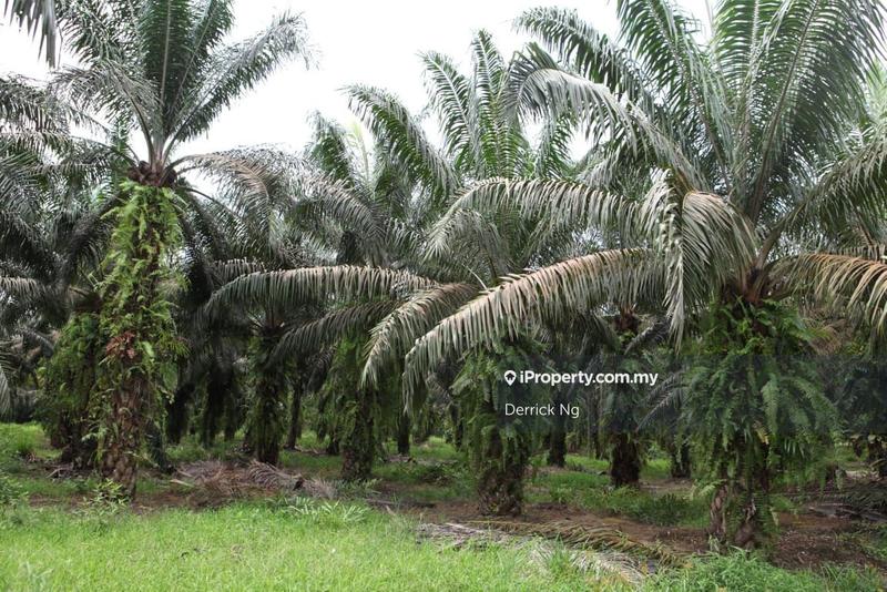 For Sale - Kuala Ketil Jalan Parit Panjang