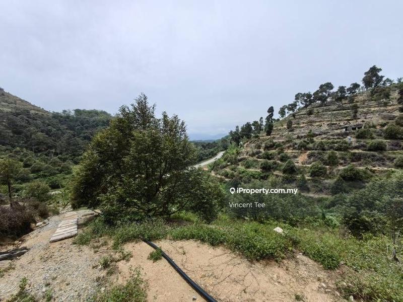 Agricultural Land for Sale in Taman Titi, Titi by Vincent Tee - iProperty.com.my