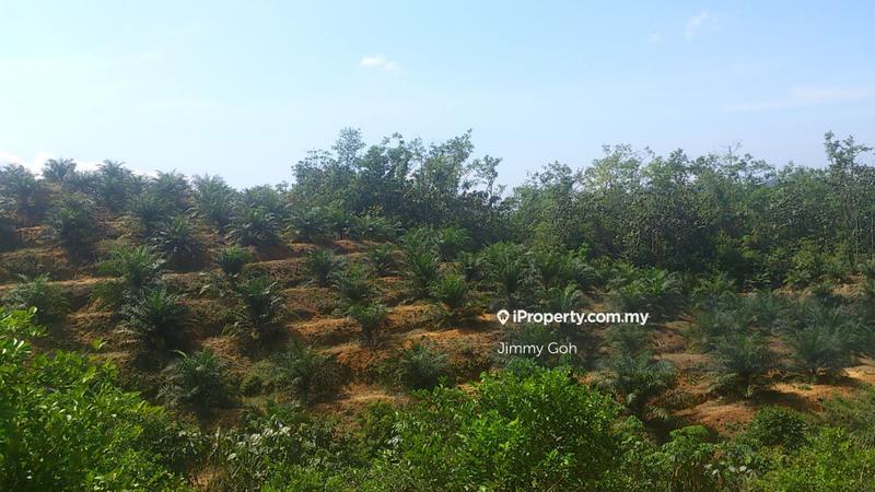 Tanah Pertanian untuk Dijual di Kerling, Kerling oleh Jimmy Goh - iProperty.com.my