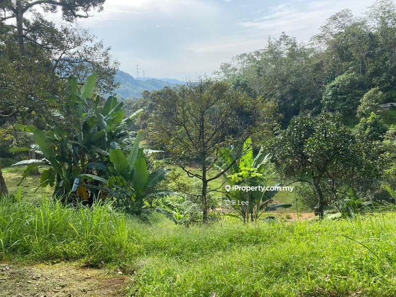Residential Land for Sale in Broga, Lenggeng by C.B.Lee - iProperty.com.my