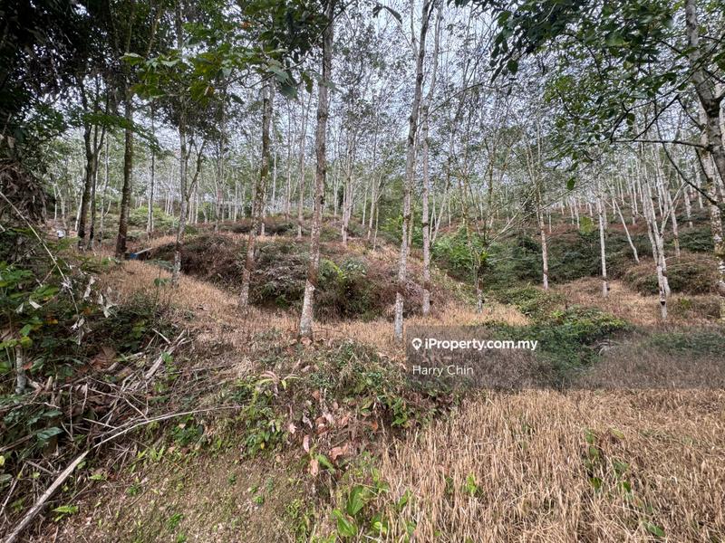 Agricultural Land for Sale in Telemong,Karak, Bentong by Harry Chin - iProperty.com.my