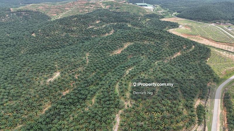 Tanah Pertanian untuk Dijual di Taman Kuala Ketil, Tawar oleh Derrick Ng - iProperty.com.my