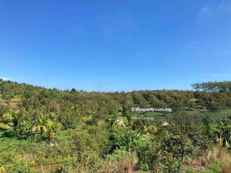 Agricultural Land for Sale in Kampung Selandar, Selandar by Irene Leong - iProperty.com.my