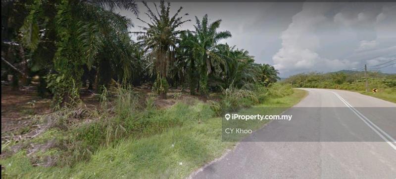 Agricultural Land for Sale in Johor Kota Tinggi Kampung Lukut 81900, Kota Tinggi by CY Khoo - iProperty.com.my