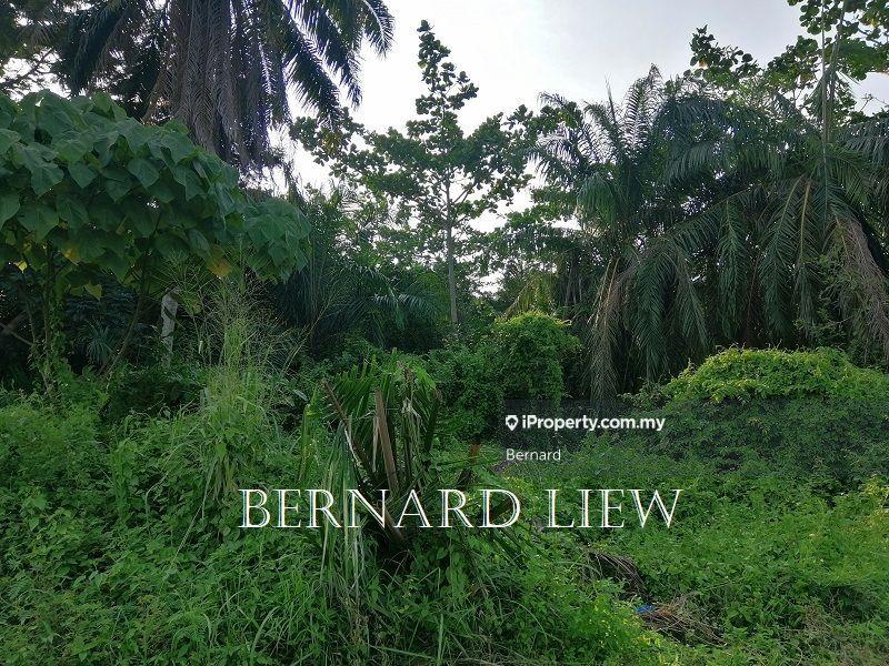 Agricultural Land for Sale in Seberang Perai Selatan, Nibong Tebal by Bernard - iProperty.com.my