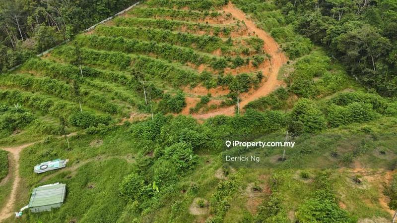 Tanah Pertanian untuk Dijual di x37oi, Gurun oleh Derrick Ng - iProperty.com.my