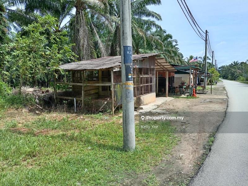 Agricultural Land for Sale in Palm Oil Plantation @ Labu Besar, Kulim for Sale, Kulim by Kelly Yee - iProperty.com.my