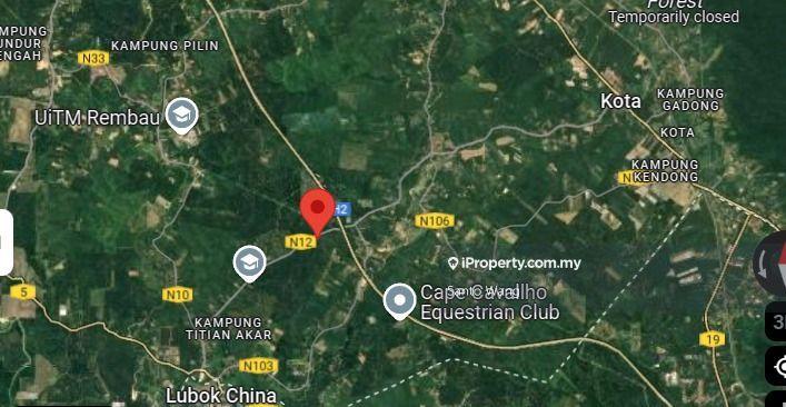 For Sale - Oil palm farm