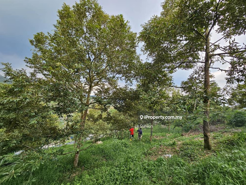 Tanah Pertanian untuk Dijual di Kampung Sungai Makau, Hulu Langat oleh Steven - iProperty.com.my