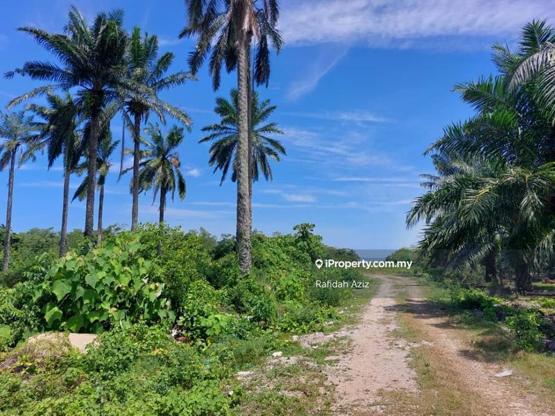 Agricultural Land for Sale in Kampung Kuala Lukut, Lukut by Rafidah Aziz - iProperty.com.my