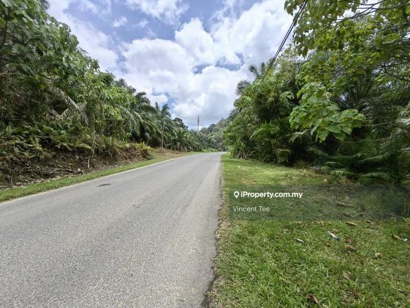 Agricultural Land for Sale in Bandar Lama, Jerantut by Vincent Tee - iProperty.com.my