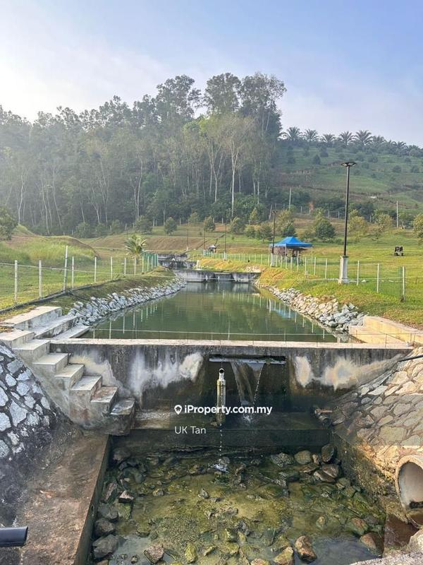 For Rent - Agriculture Land 6 Acres @ Serendah Rawang