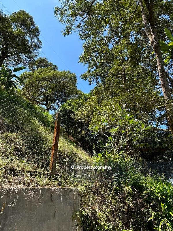 Tanah Pertanian untuk Dijual di Bentong Sang Lee ,Raub, Raub oleh Grace Tan - iProperty.com.my