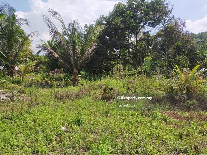 For Sale - Kota Tinggi Zoning Commercial & Agriculture Land