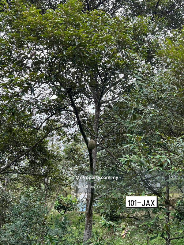 Tanah Pertanian untuk Dijual di Bukit Tinggi, Bentong oleh Yap Chew Ying - iProperty.com.my