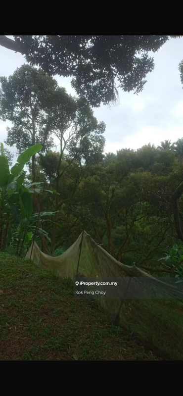 Tanah Pertanian untuk Dijual di Sungkai, Perak oleh Kok Peng Choy - iProperty.com.my